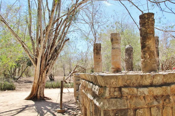 Meksika, Dünya Mirası Sitesi