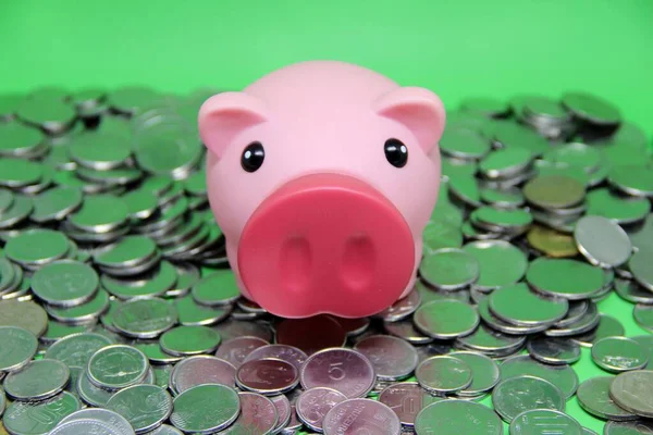 Pig Coins Saving Money Concept — Stock Photo, Image