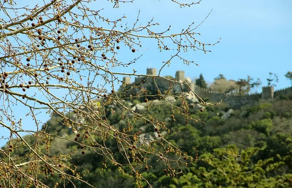 Zamek Maurów Sintra Portugalia — Zdjęcie stockowe