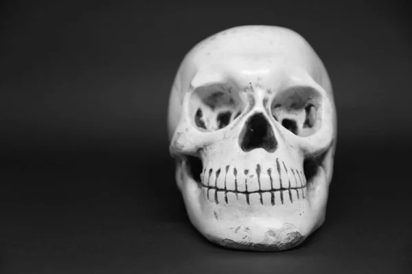 Koyu arkaplanda bir kafatasının yakın görüntüsü 