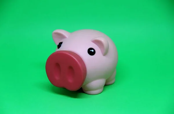 Şirin pembe domuz kumbarası stüdyo arka planında