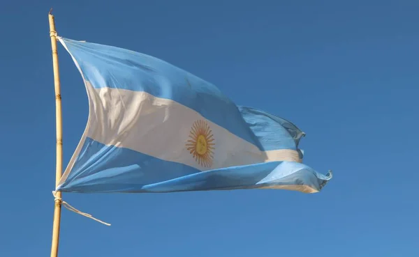 Аргентинський Прапор Блакитному Небі — стокове фото