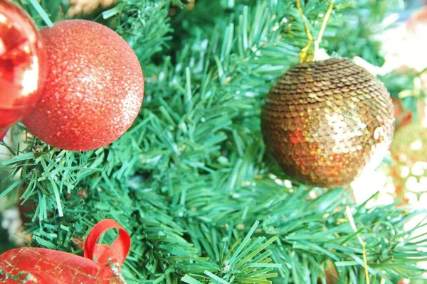 Noel ağacı - yakın plan görünümü