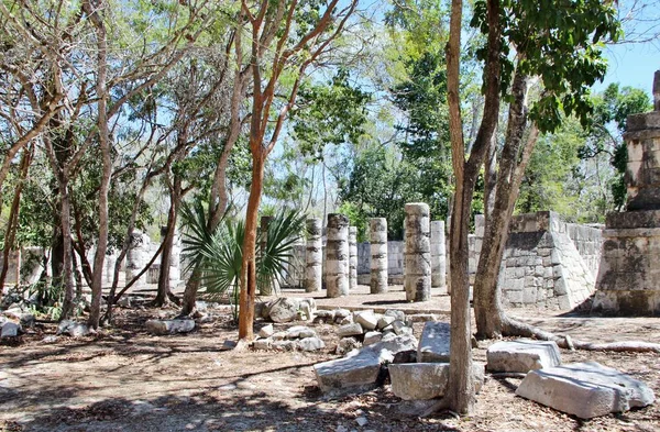 Meksika, Dünya Mirası Sitesi