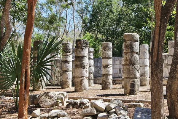 Meksika, Dünya Mirası Sitesi