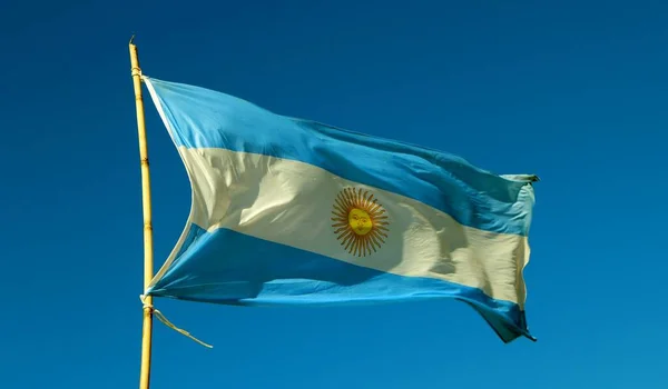 Argentinsk Flagga Vinden Den Blå Himlen — Stockfoto