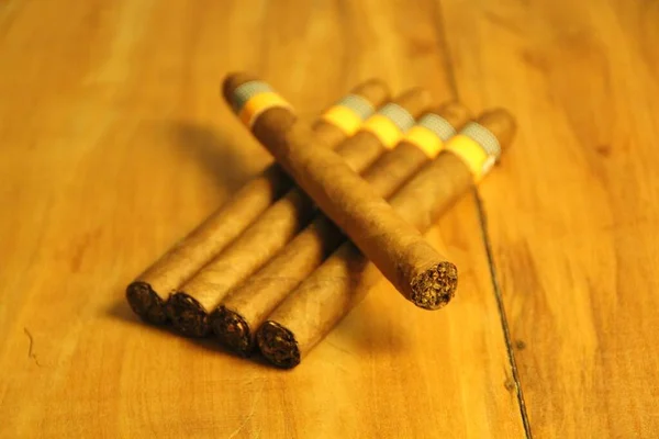 Closeup View Several Cigars Wooden Background — Stock Photo, Image