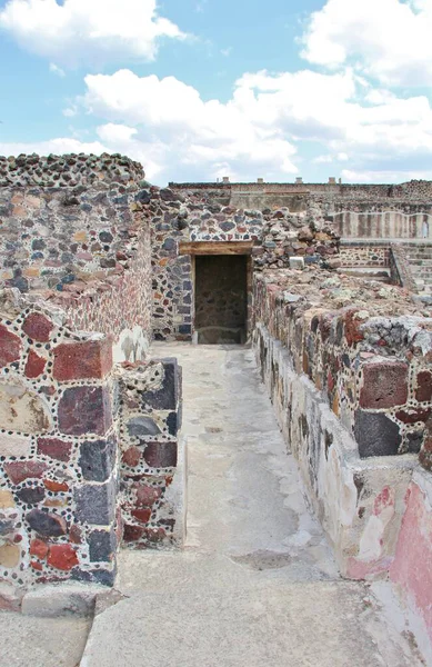 Meksika 'da antik bir şehir olan Teotihuacan, piramitlerin ve harabelerin manzarası