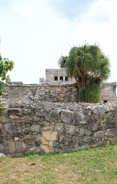 Meksyk Riwiera Maya Koncepcja Podróży — Zdjęcie stockowe