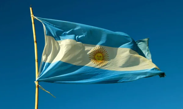 Argentinische Flagge Wind Blauen Himmel — Stockfoto