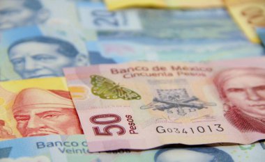 Meksika para faturaları geçmişi