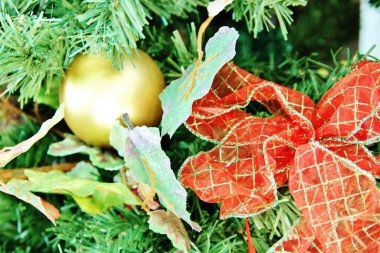 Noel ağacı - yakın plan görünümü