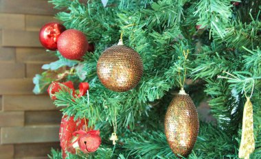 Noel ağacı - yakın plan görünümü