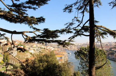 Mimari manzara, binalar ve caddeler liman kenti, Porto, Portekiz