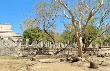 Meksika, Dünya Mirası Sitesi