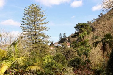 Mimari manzara, binaların cepheleri, ve saray kompleksinin bahçesi Quinta da Regaleira, Sintra, Portekiz
