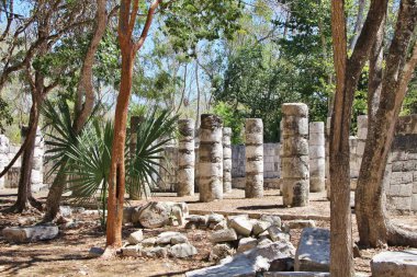 Meksika, Dünya Mirası Sitesi