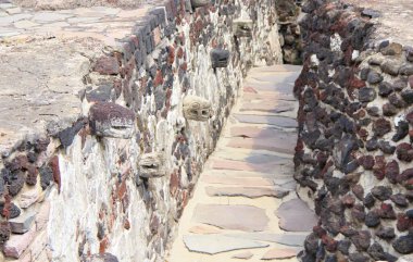 Mexico City 'nin yakın tapınak kalıntıları.