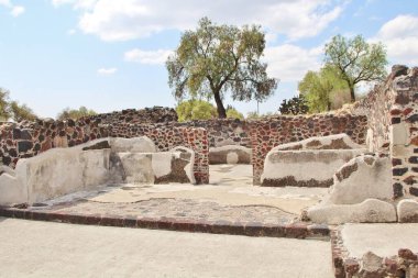 Meksika 'da antik bir şehir olan Teotihuacan, piramitlerin ve harabelerin manzarası