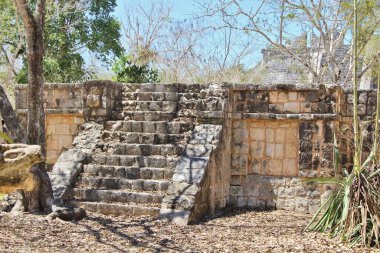 Meksika, Dünya Mirası Sitesi
