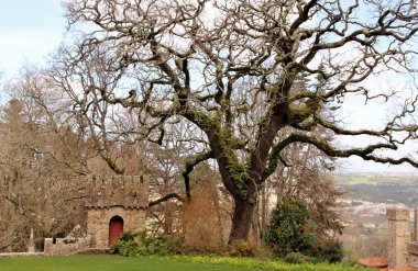 Mimari manzara, binaların cepheleri, ve saray kompleksinin bahçesi Quinta da Regaleira, Sintra, Portekiz