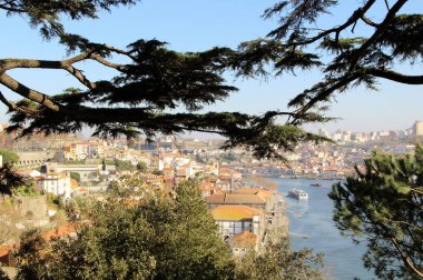 Mimari manzara, binalar ve caddeler liman kenti, Porto, Portekiz