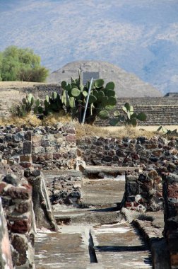 Teotihuacan manzarası, Meksika 'da antik bir şehir.