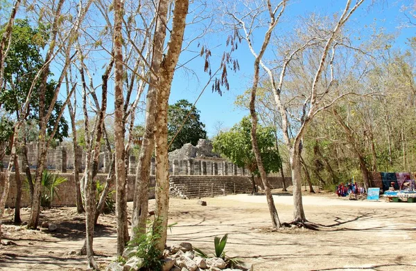 Meksika, Dünya Mirası Sitesi