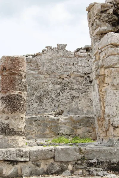 Meksika, Riviera Maya. Seyahat kavramı