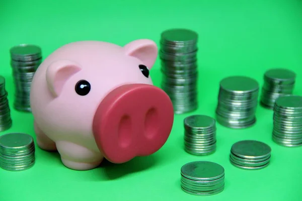 Pig and coins, saving money concept