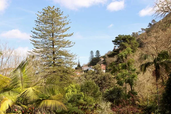 Mimari manzara, binaların cepheleri, ve saray kompleksinin bahçesi Quinta da Regaleira, Sintra, Portekiz