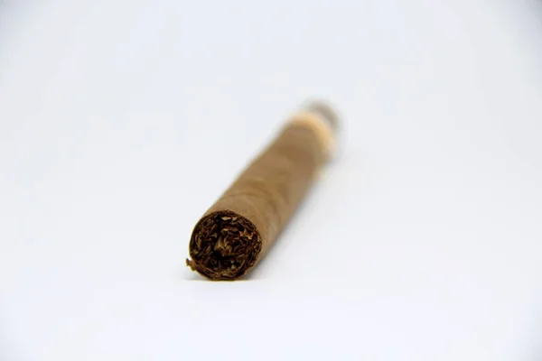 Closeup View Cigar White Background — Stock Photo, Image