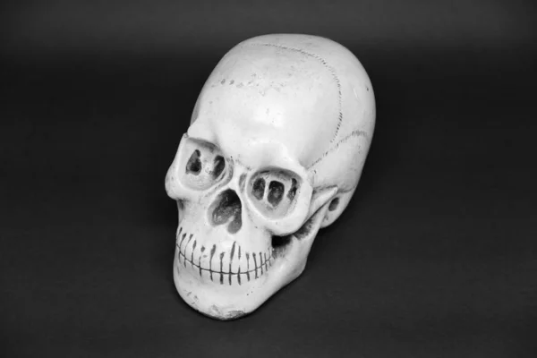暗い背景に頭蓋骨のクローズアップビュー — ストック写真
