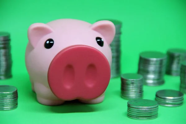 Pig Coins Saving Money Concept — Stock Photo, Image