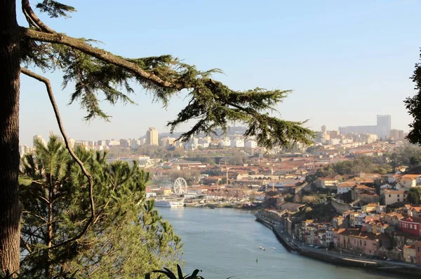 Utsikt Över Arkitektur Fasader Byggnader Och Gator Hamnstad Porto Portugal — Stockfoto
