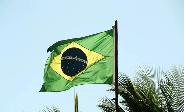 Bandiera Brasiliana Sull Albero Sullo Sfondo Del Cielo — Foto Stock