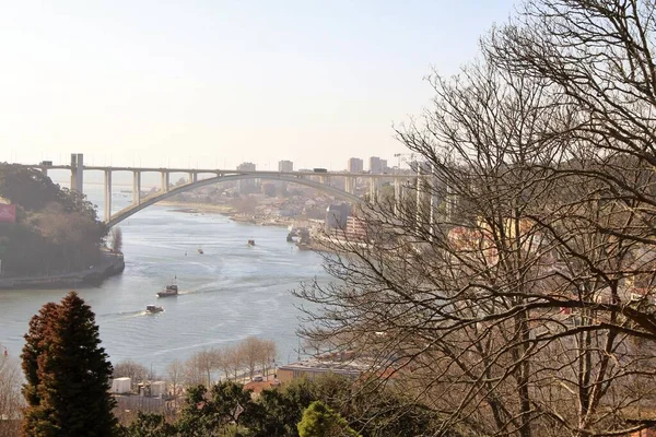 Mimari manzara, binalar ve caddeler liman kenti, Porto, Portekiz