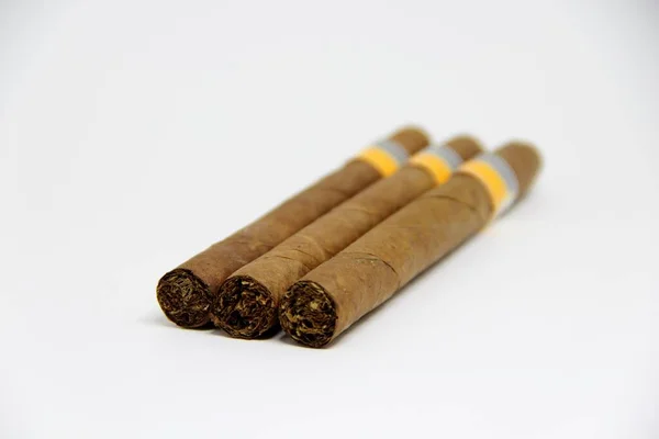 Närbild Flera Cigarrer Vit Bakgrund — Stockfoto