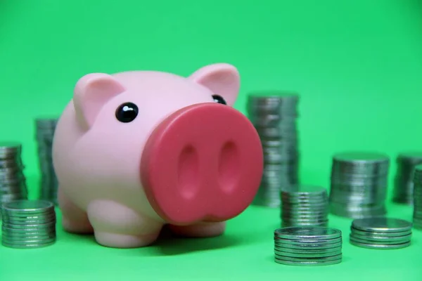 Pig and coins, saving money concept