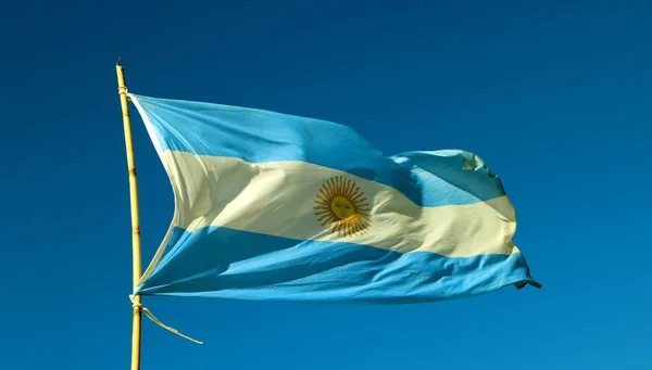 Argentinsk Flagga Vinden Den Blå Himlen — Stockfoto