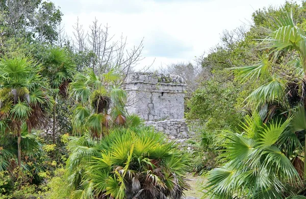 Meksika, Riviera Maya. Seyahat kavramı