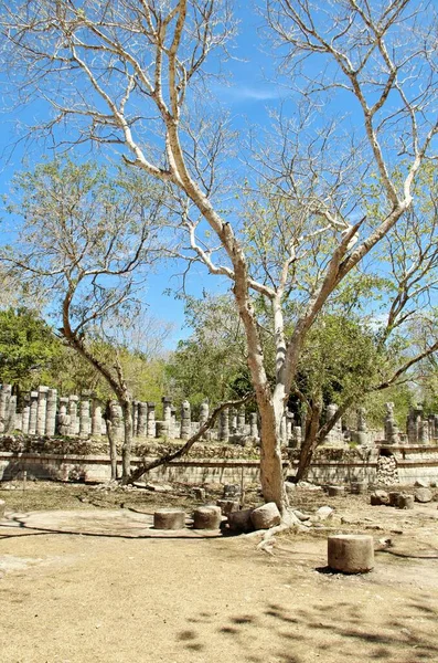 Mexico World Heritage Site — Stock Photo, Image