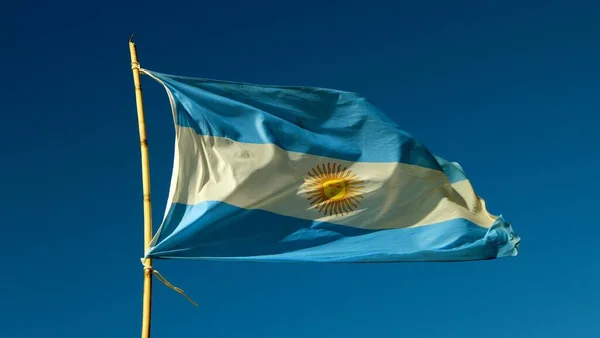 Argentinische Flagge Wind Blauen Himmel — Stockfoto