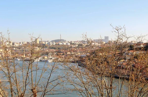 Mimari manzara, binalar ve caddeler liman kenti, Porto, Portekiz