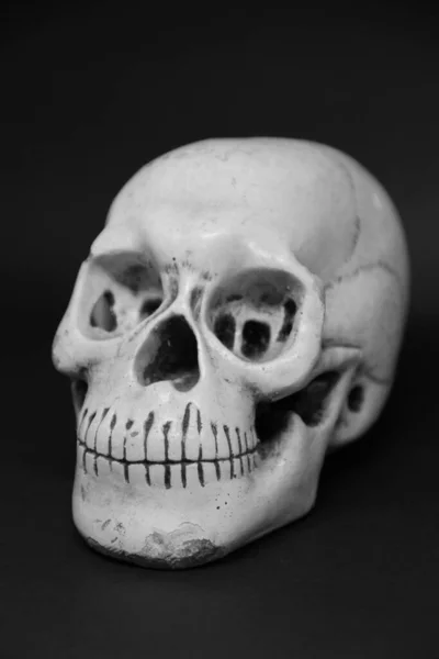Closeup View Skull Dark Background — Stock Photo, Image