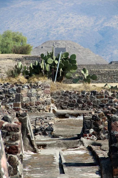 Teotihuacan manzarası, Meksika 'da antik bir şehir.