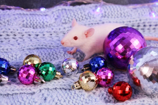 Vit råtta med flerfärgade julbollar, symbol för det nya året 2020 — Stockfoto