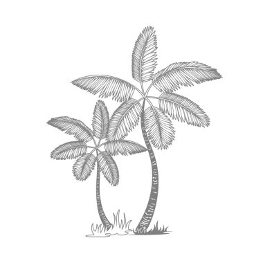 vektör gri çizgi palmiye ağacı izole beyaz arka plan