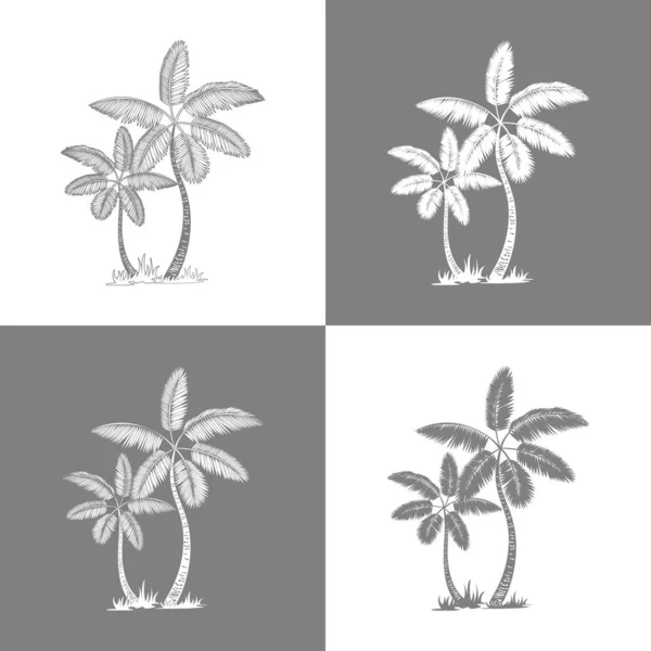 Palmeras y hojas. silueta de línea gris aislada sobre fondo blanco. Dibujo vectorial ilustración . — Vector de stock