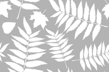 sonbahar desen levha sorunsuz. Eğrelti otunun yaprakları. Kumaş için desen. Eğrelti otu izi. Trend sonbahar deseni. Bez gömlek desen. vektör, eps 10 sanat